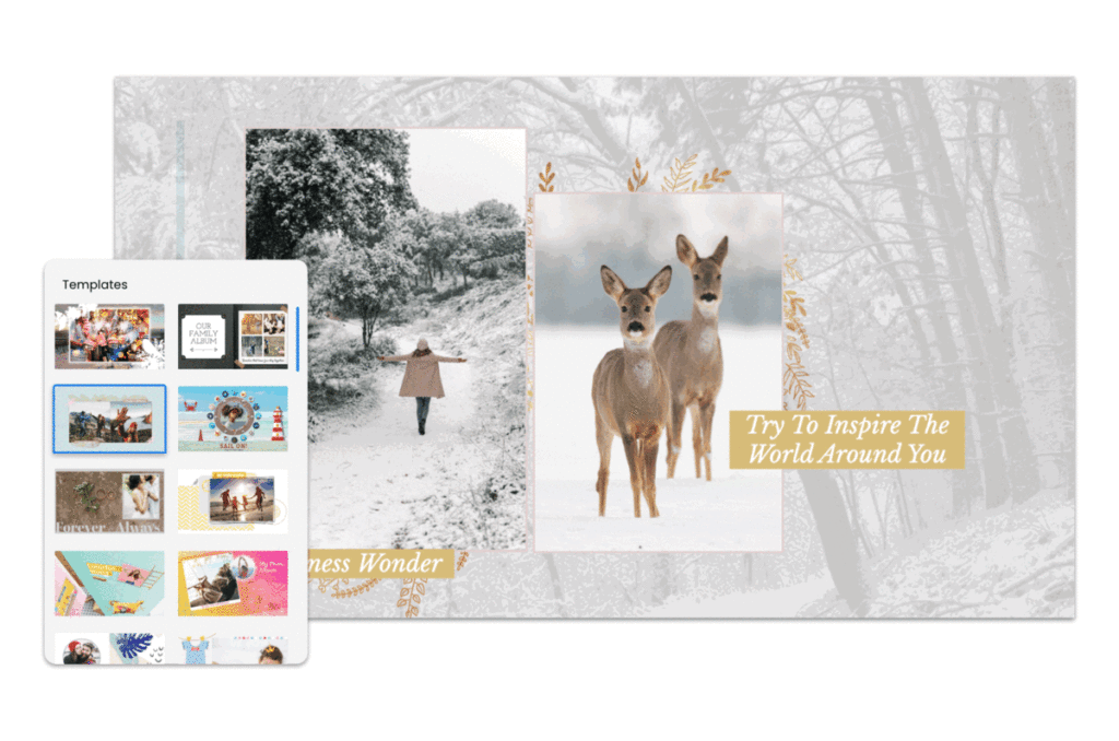 A gif of switching between two photo album templates and the automatic placement of images in the best positions.