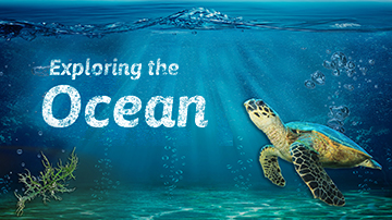 Under the Sea presentation template